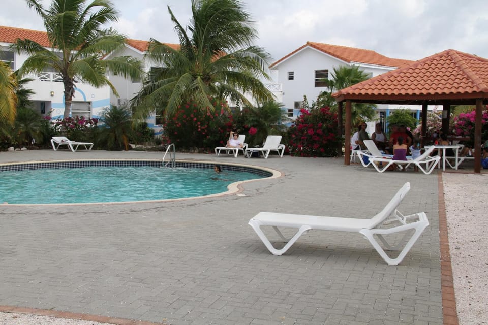 Swimming pool, Swimming pool