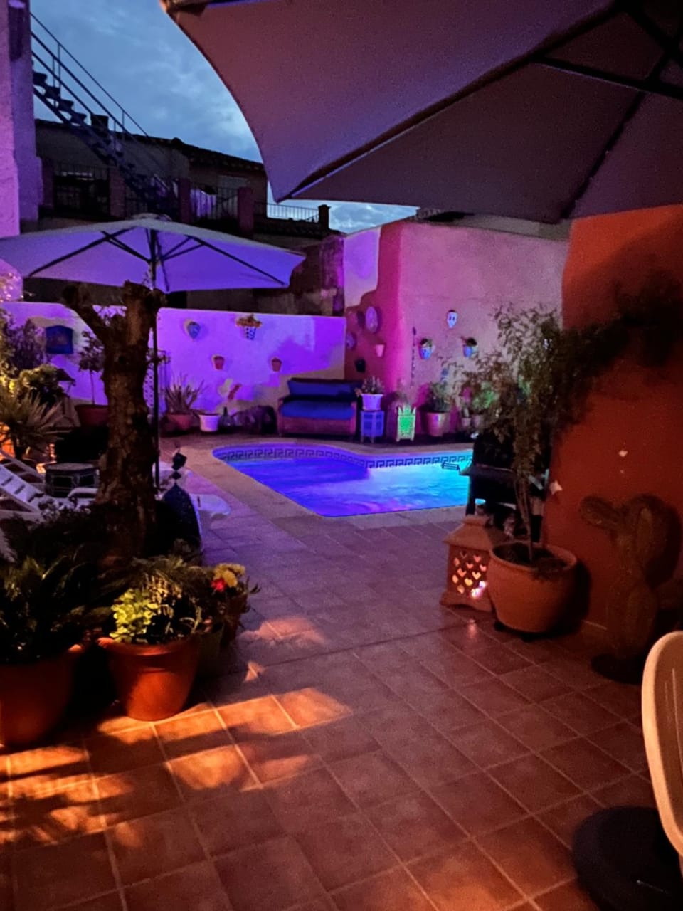 Patio, Night, Garden, Pool view, Swimming pool