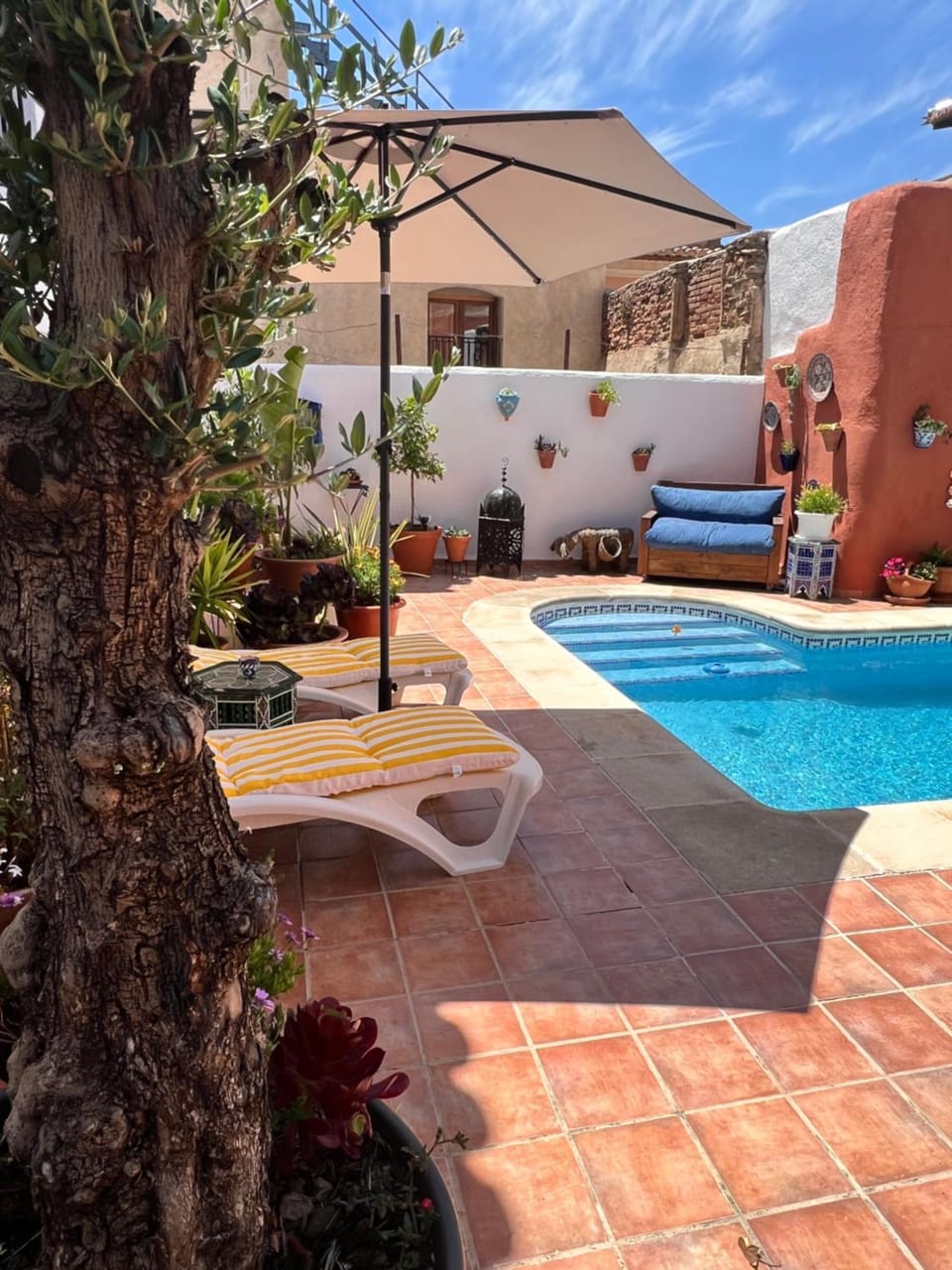 Patio, Day, Garden view, Pool view, Swimming pool, sunbed