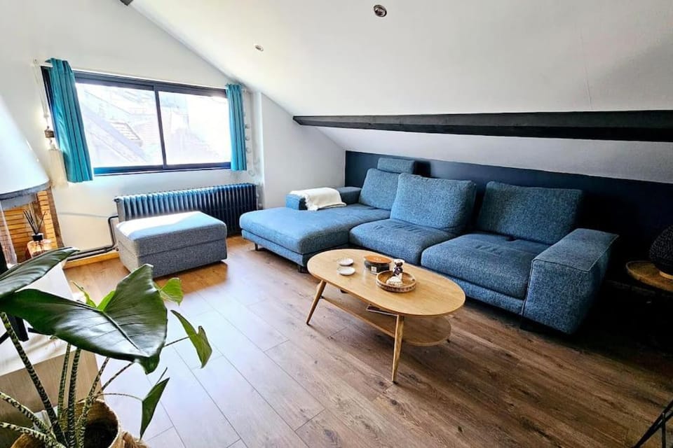 Le Nichoir de Laetitia Apartment in Thonon-les-Bains