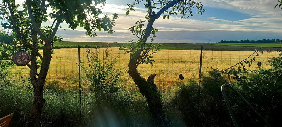 Garden, Garden view