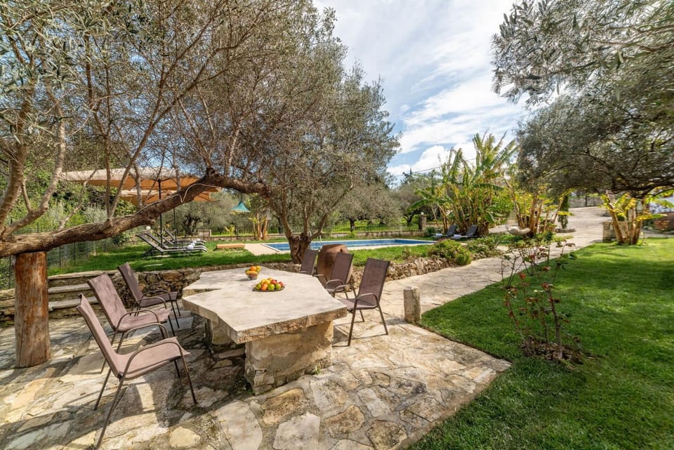 Garden, Garden view, Pool view, Swimming pool, sunbed
