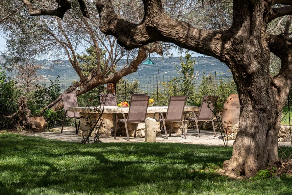 Garden, Mountain view