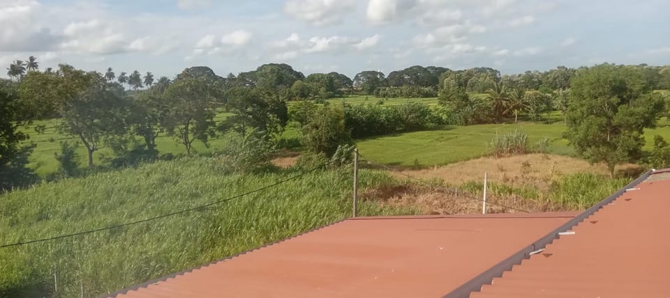 Natural landscape