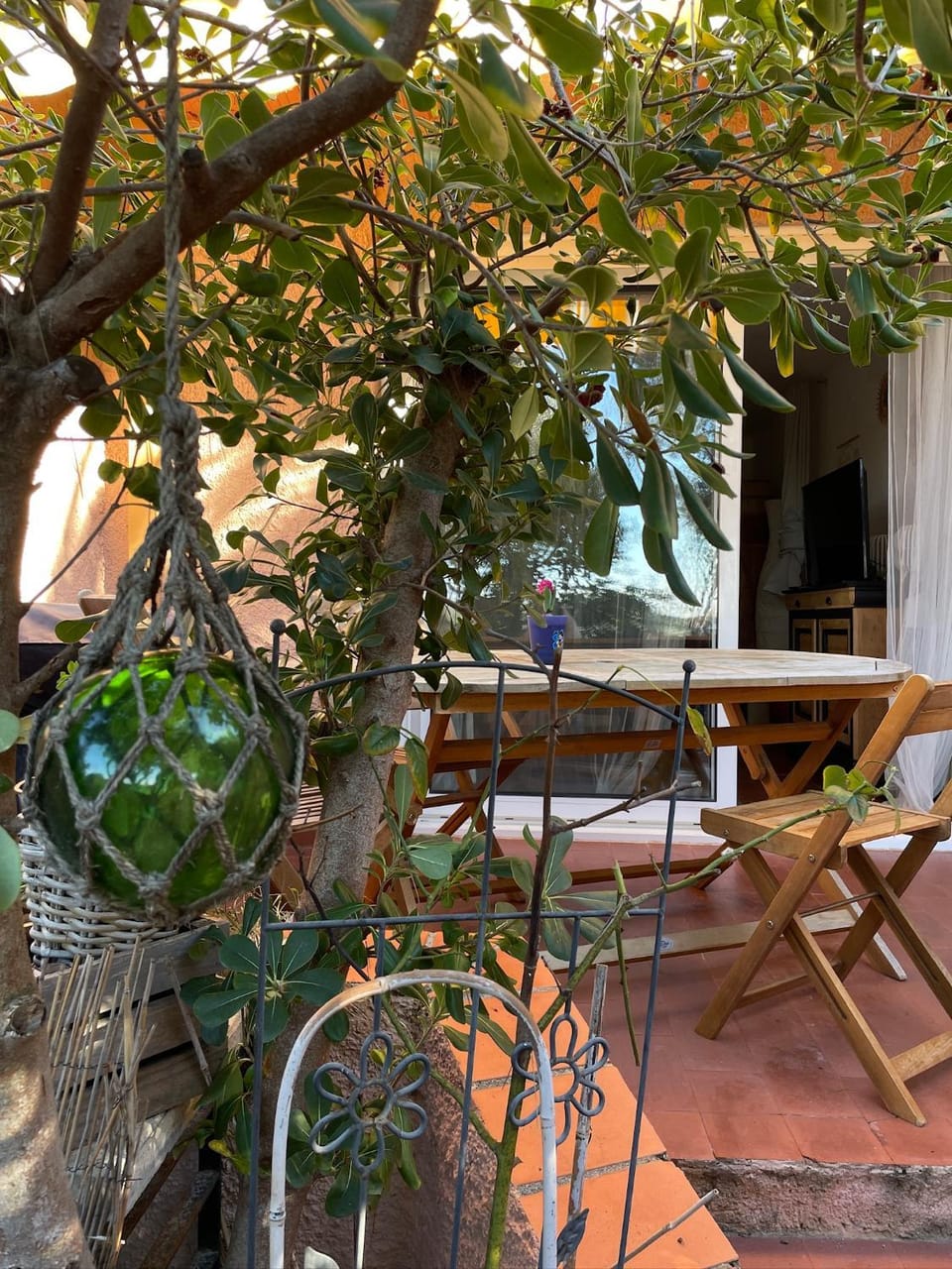 Patio, Garden, Dining area