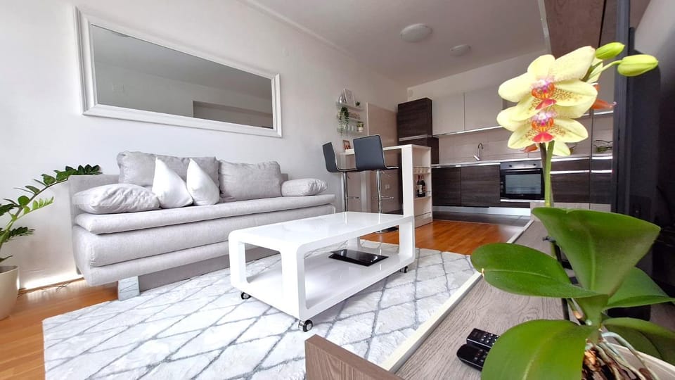 TV and multimedia, Living room, Seating area, air conditioner