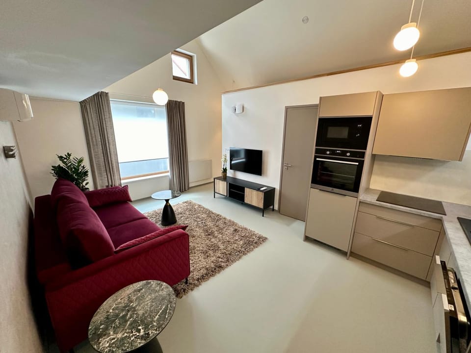 Communal lounge/ TV room, TV and multimedia, Kitchen or kitchenette, Living room, oven, stove