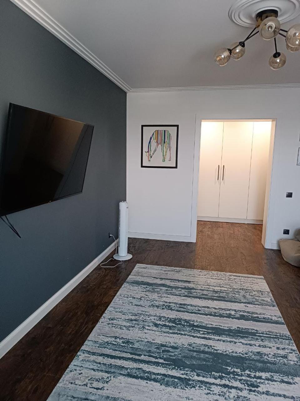 TV and multimedia