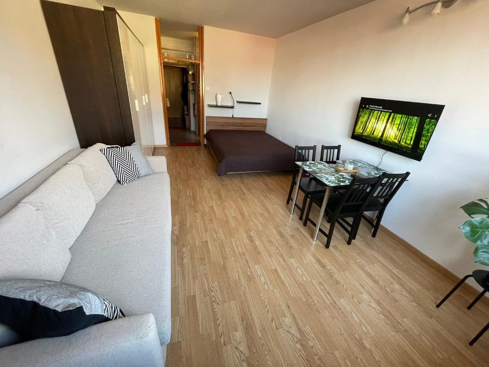 Bed, TV and multimedia, Seating area