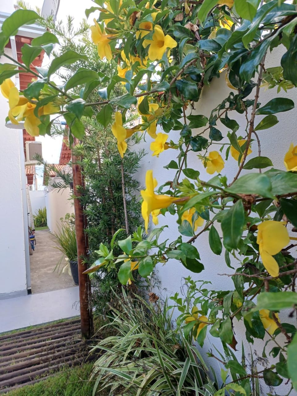 Casa Pitanga Doce House in State of Bahia