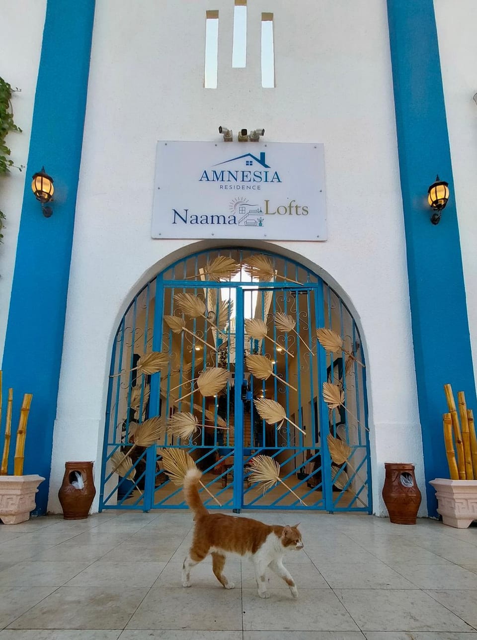 Amnesia Residence in Naama Bay - Downtown Apartment in Sharm El-Sheikh