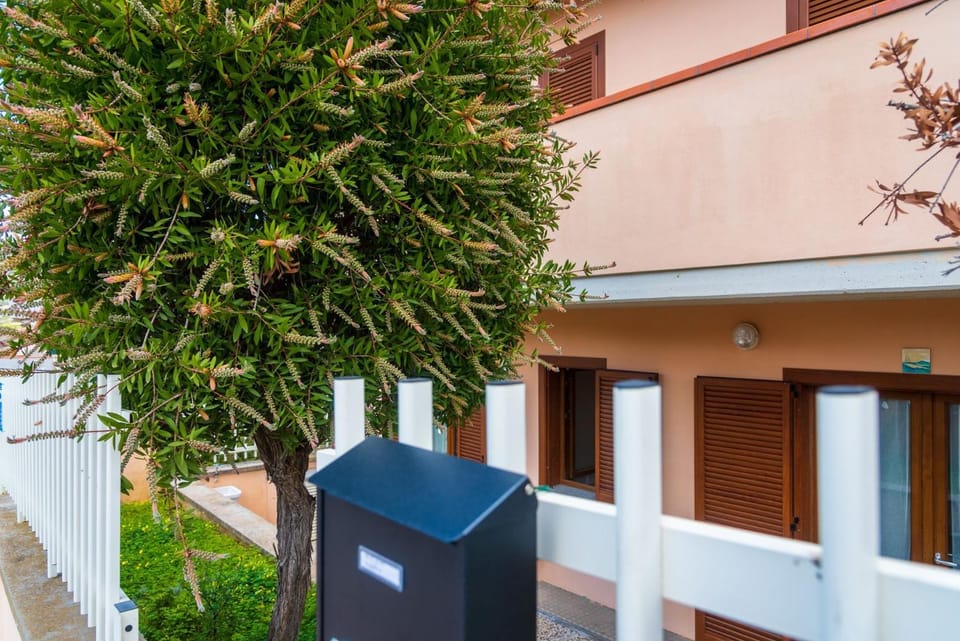 Property building, Garden, Garden view