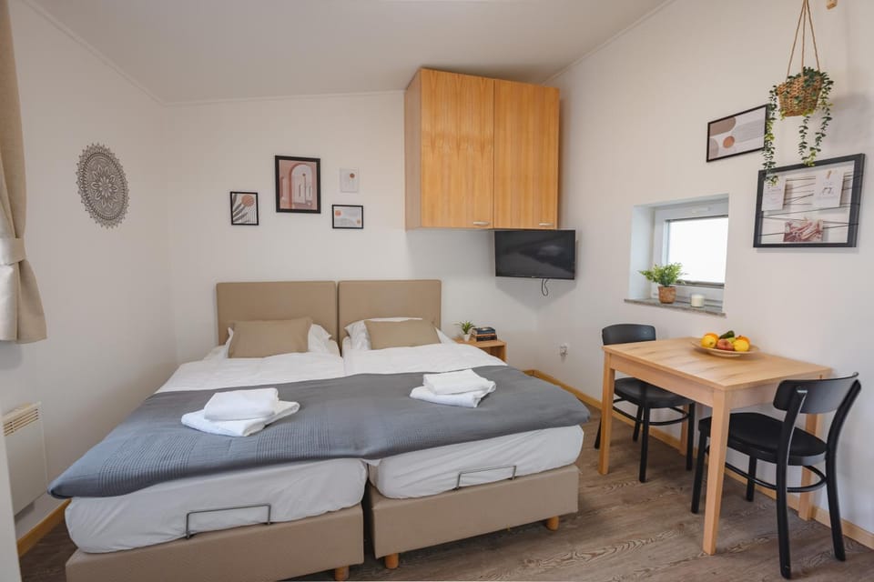 VILA KLARA apartments Apartment in Ljubljana
