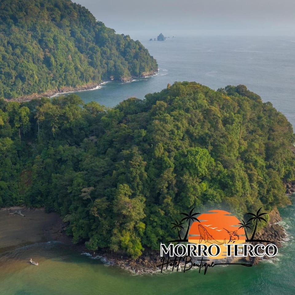 Day, Natural landscape, Garden, Beach, Mountain view, Sea view