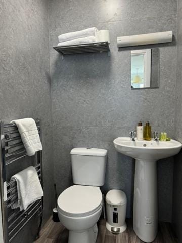 Toilet, Bathroom, towels