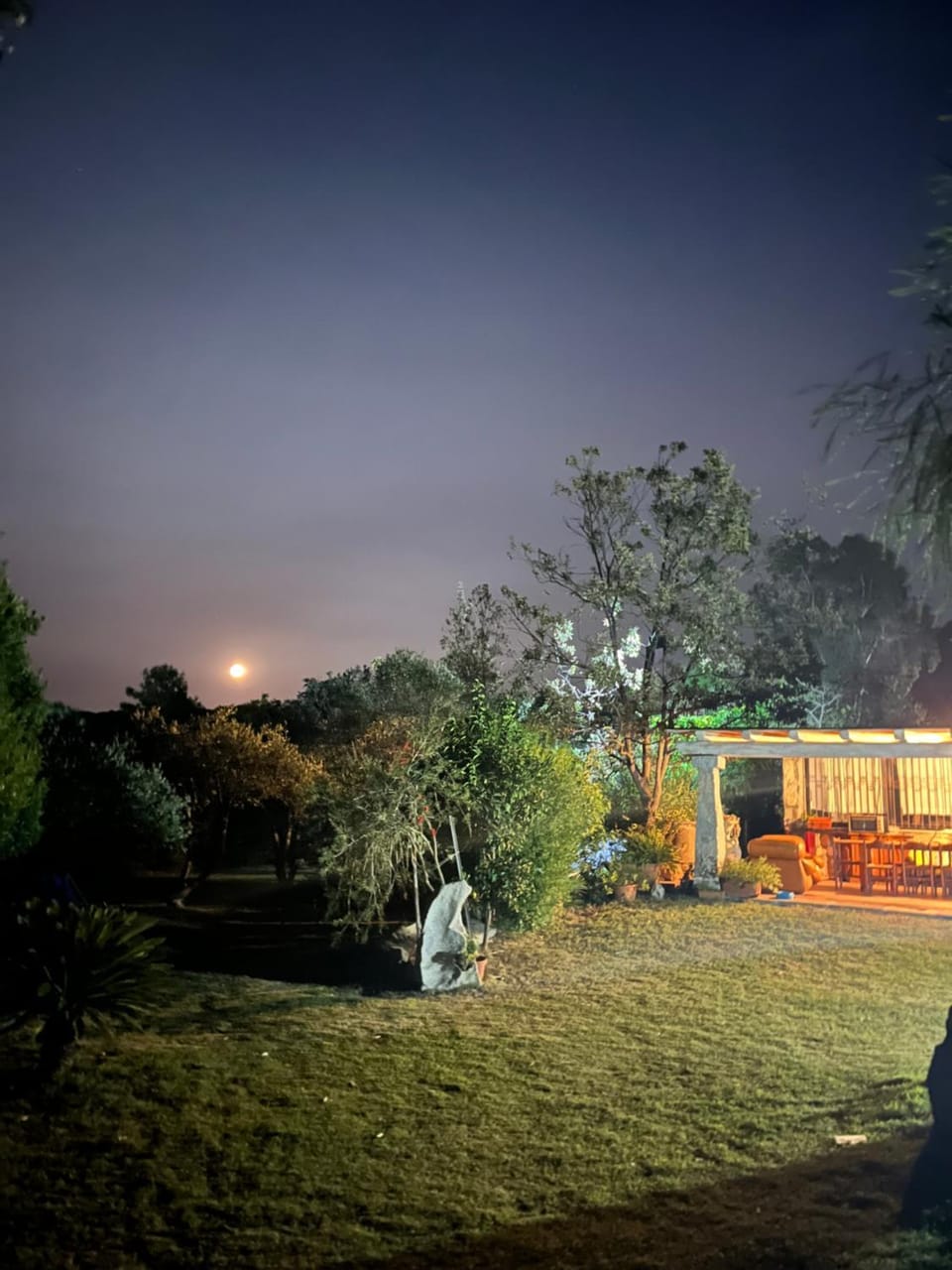 Garden view