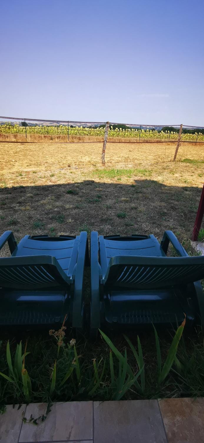 Dépendance avec jardin privé et vue sur campagne Apartment in Occitanie