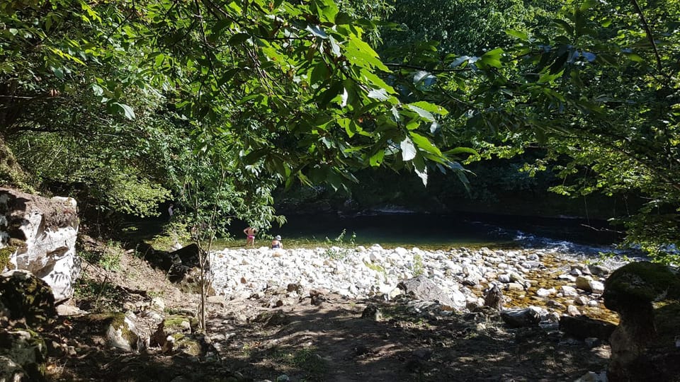 Natural landscape, Garden