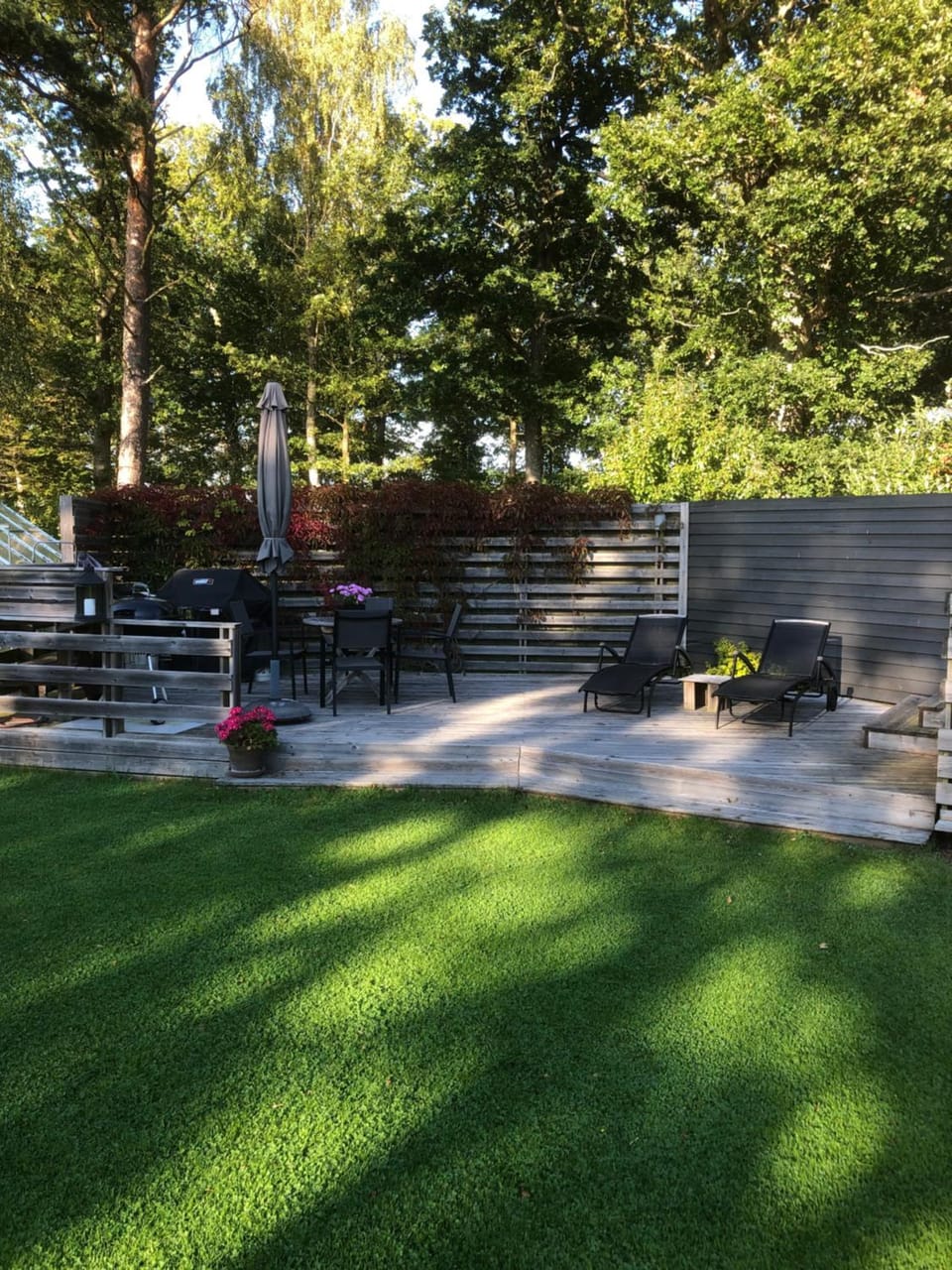 Garden view