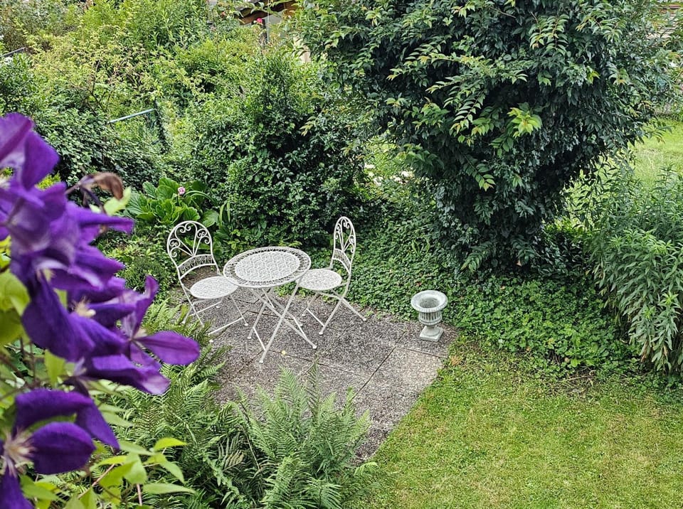 Property building, Garden, Garden view