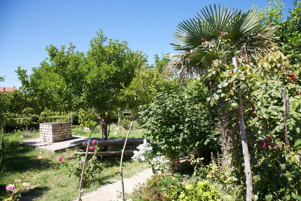 Garden, Garden view
