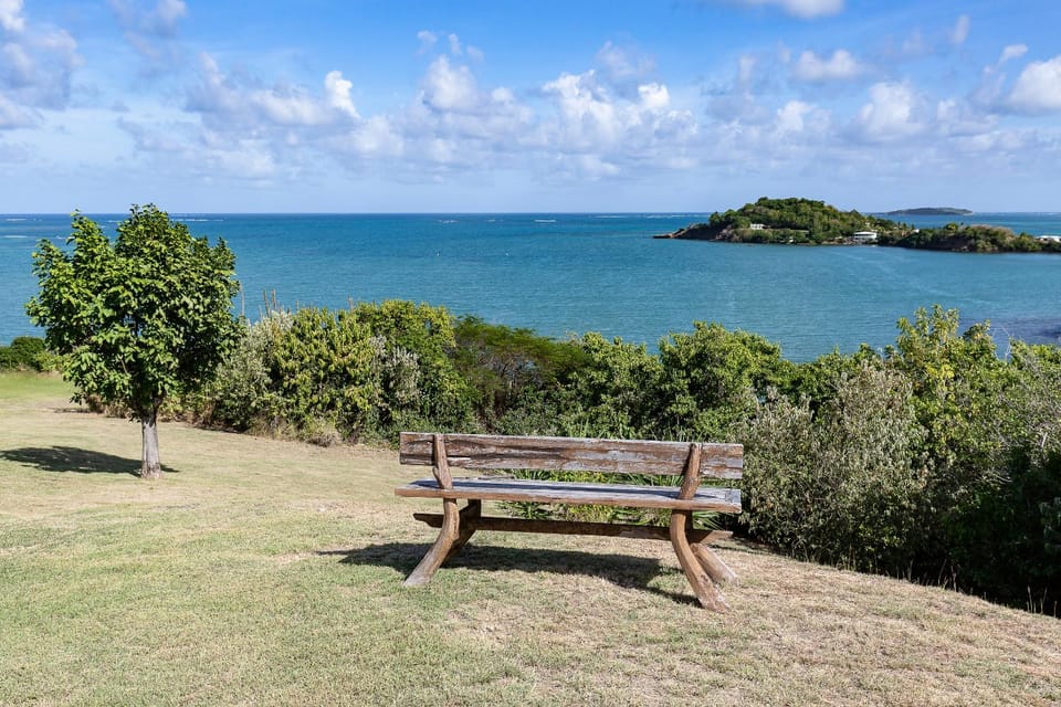 Day, Garden, Sea view