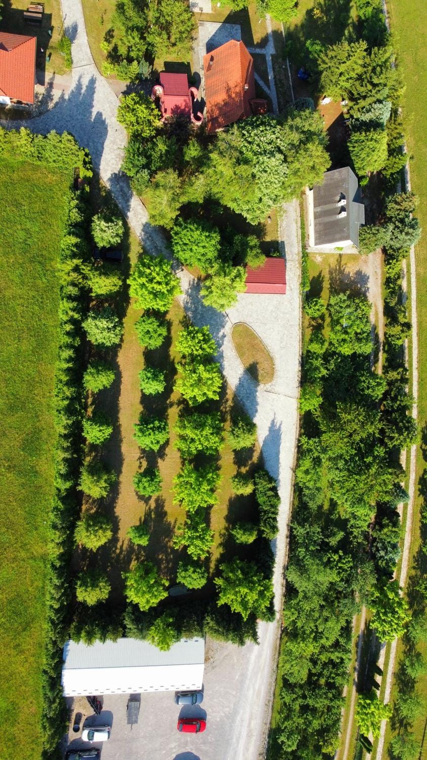 Natural landscape