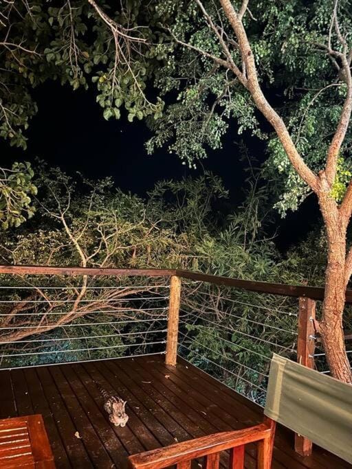 Tree Symphony Apartment in South Africa