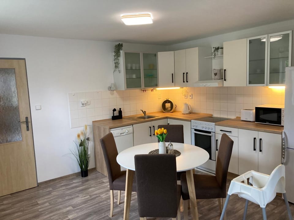 Apartmán Lipno 1 Apartment in Lipno nad Vltavou