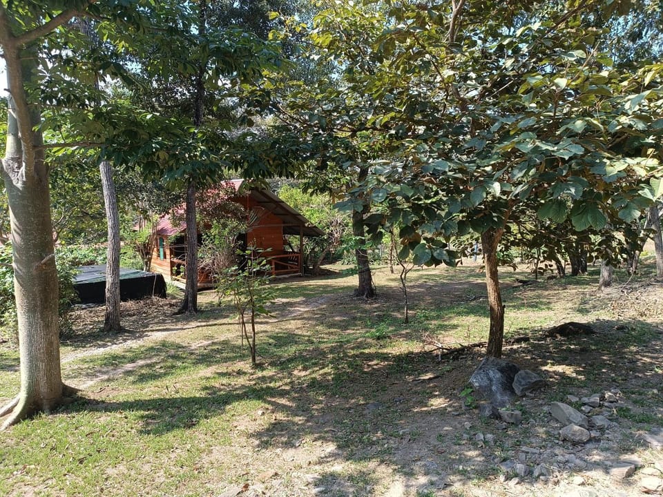 Natural landscape, Garden view