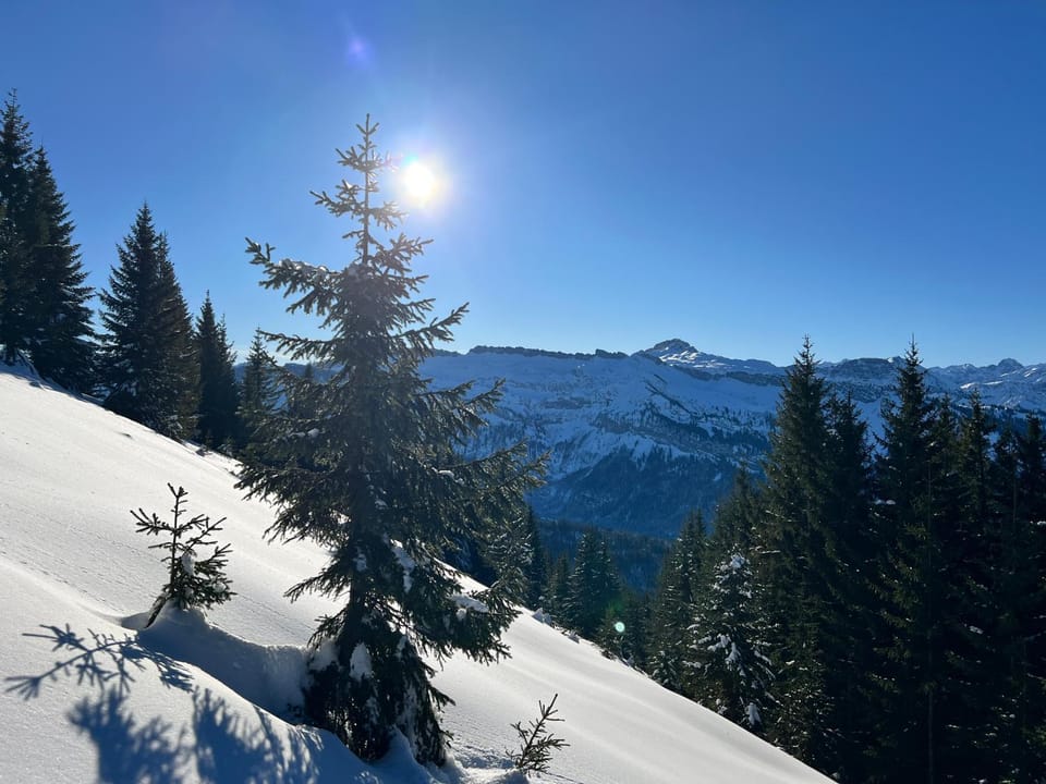 Winter, Skiing, Hiking