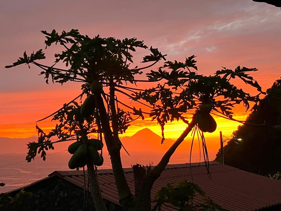 Garden, Mountain view, Sea view, Sea view, Sunset