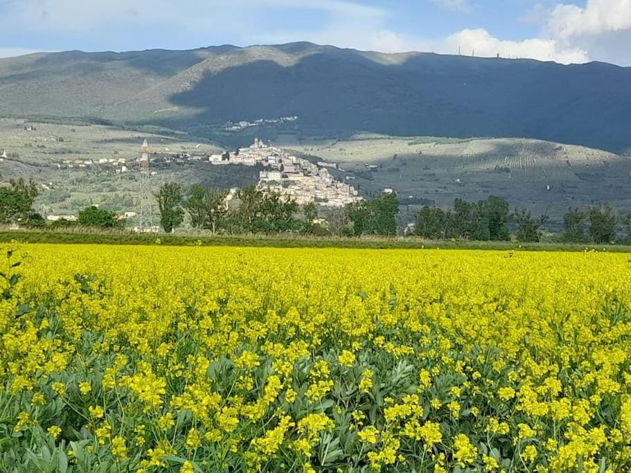 Una casa nel grano: Casa Luciola House in Umbria