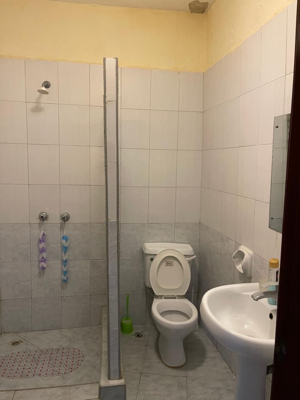 Shower, Toilet