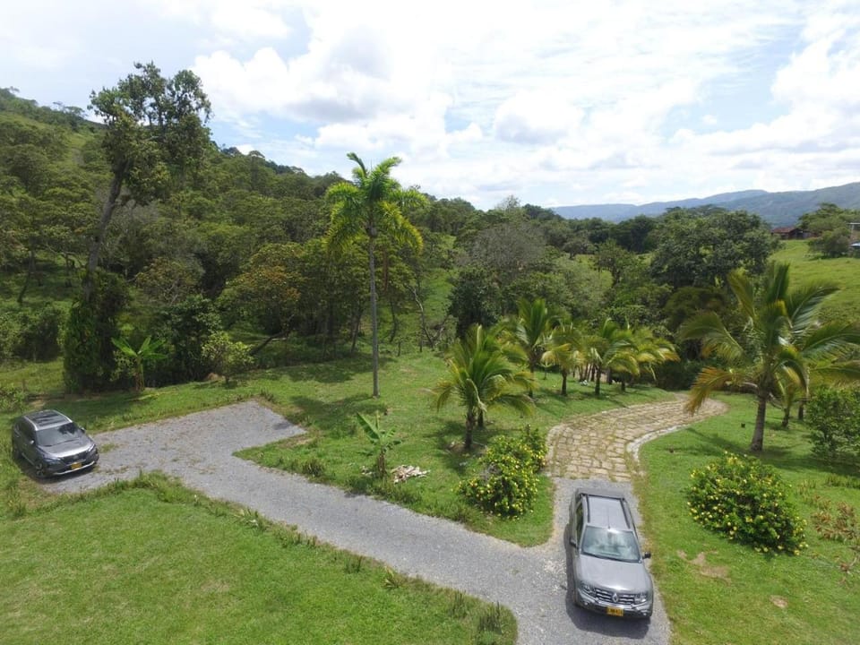 Inner courtyard view