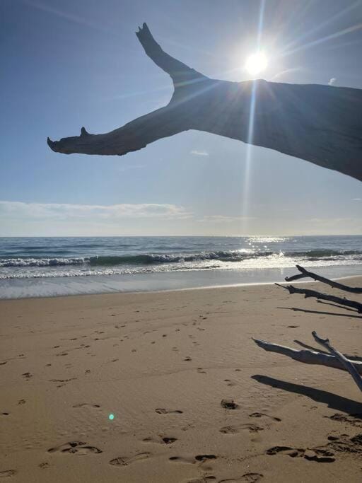 Day, Natural landscape, Beach