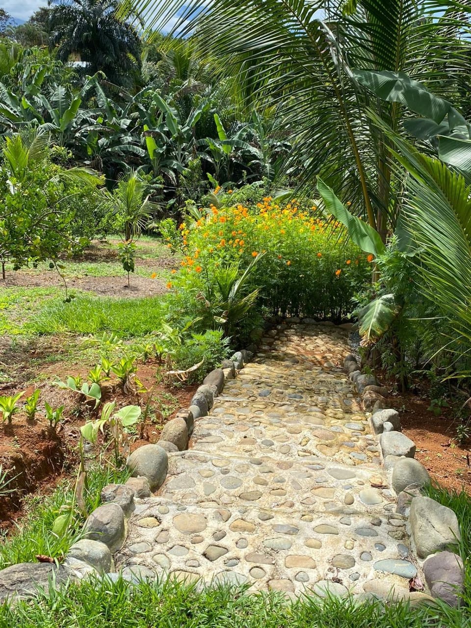 Casas La Chirincoca House in San José Province