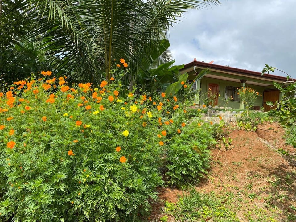 Casas La Chirincoca House in San José Province