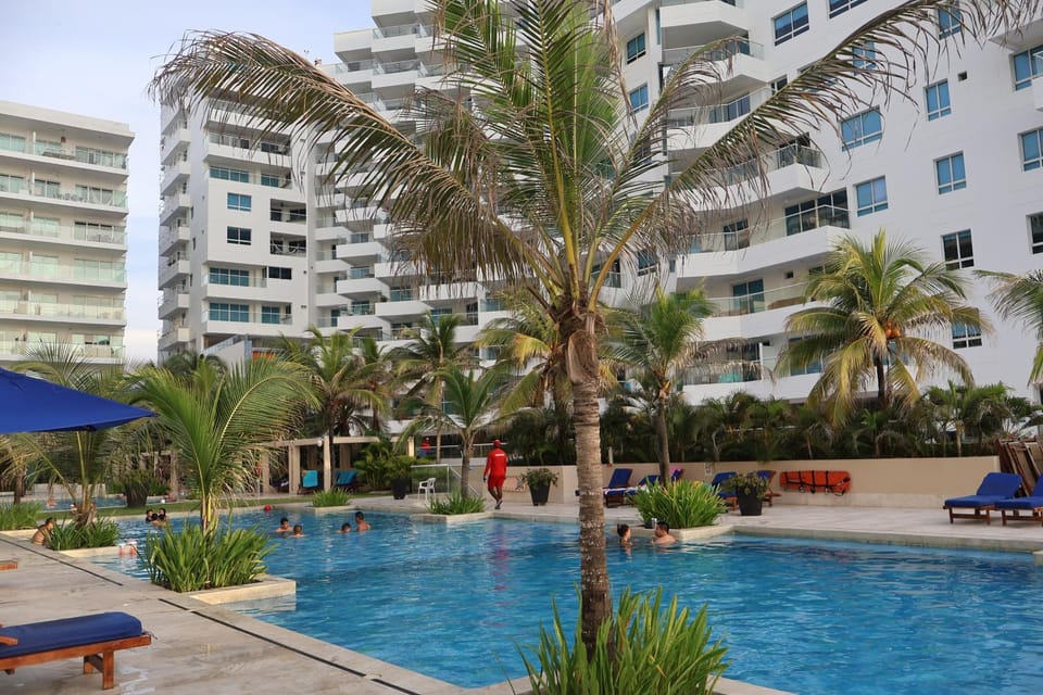 Garden, Swimming pool, sunbed