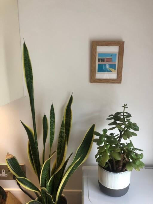The Loft - Bright apartment centre St Ives sleep 4 Apartment in Saint Ives