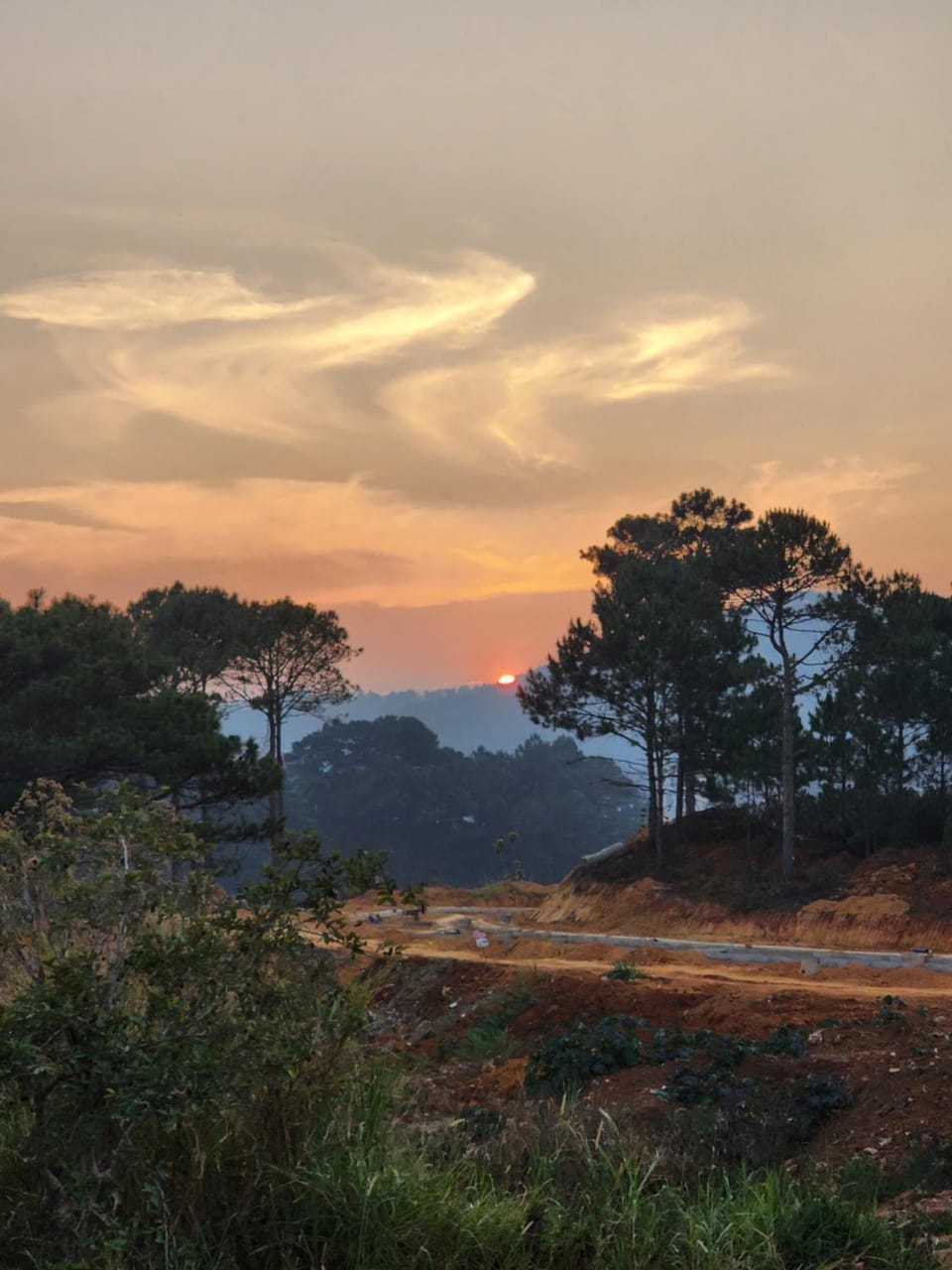 Natural landscape