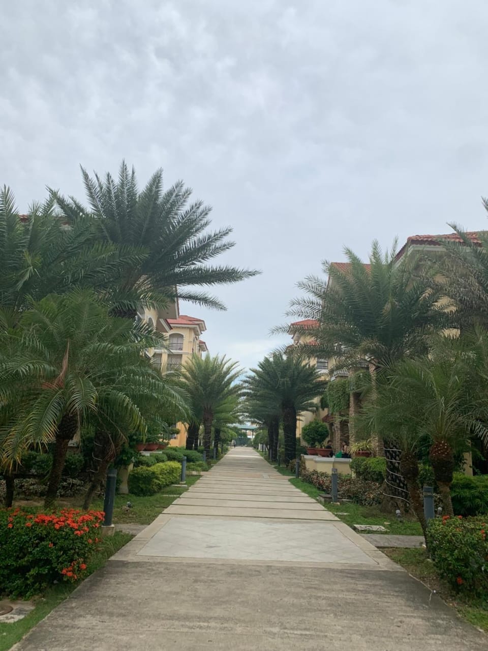 Garden view