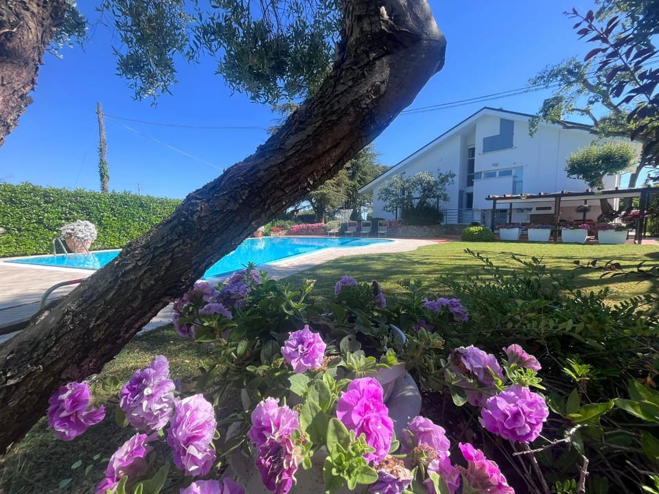 Garden, Garden view, Swimming pool