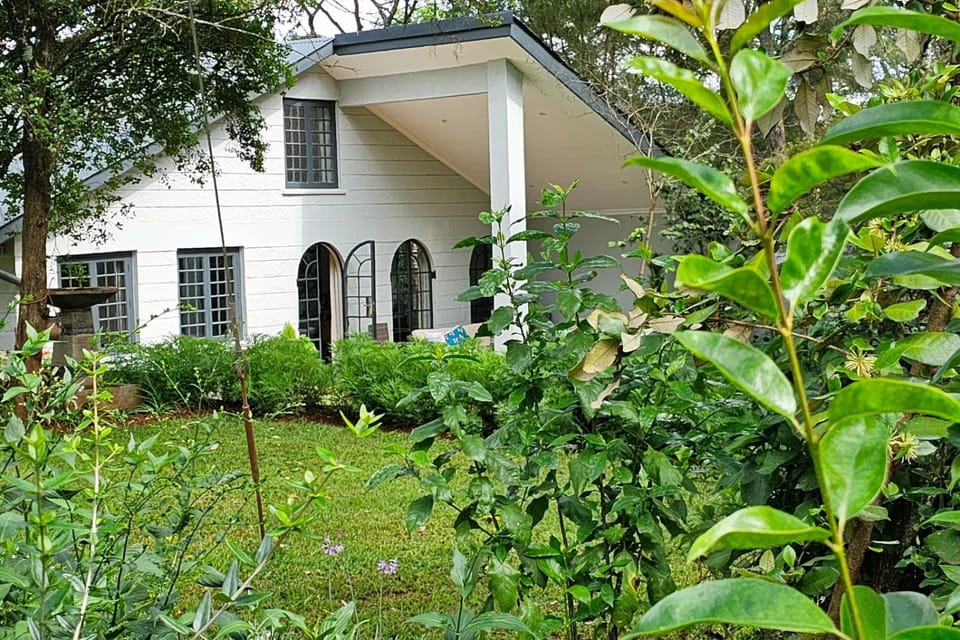 Property building, Garden view
