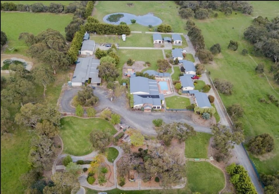 Natural landscape, Bird's eye view, Garden view