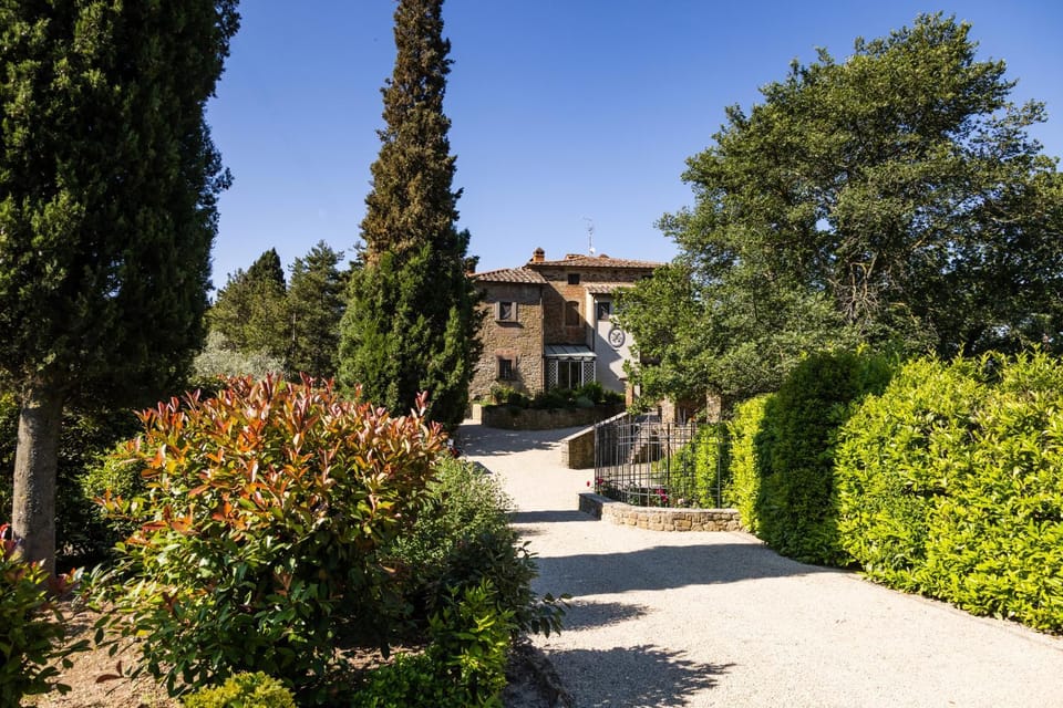 Property building, Garden view