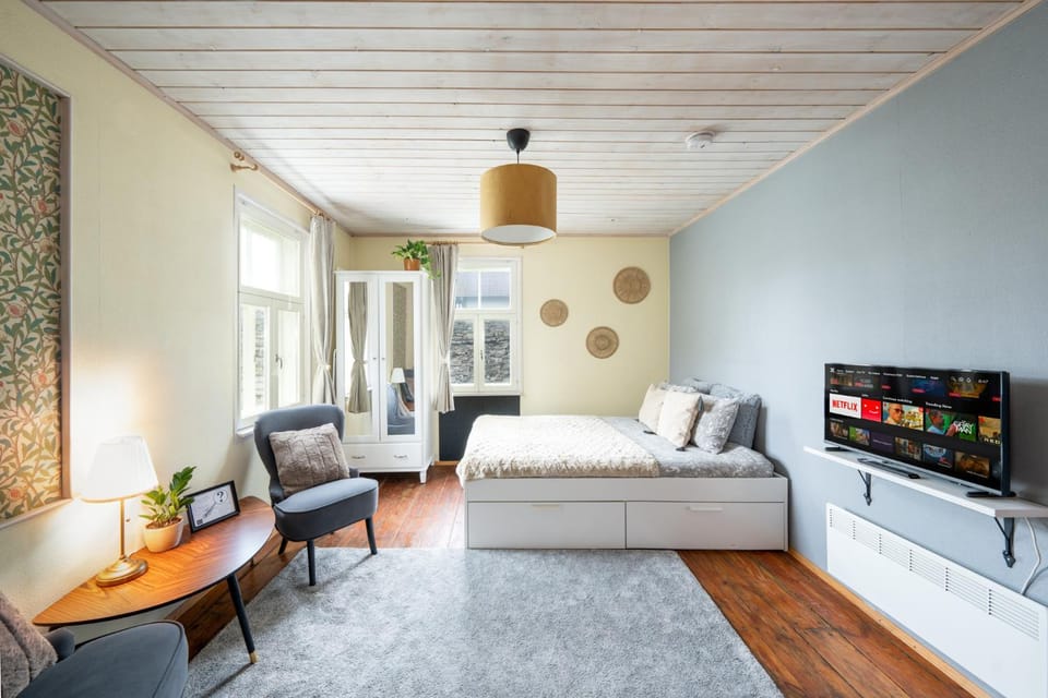 Garden Studio next to Telliskivi & Old Town Apartment in Tallinn