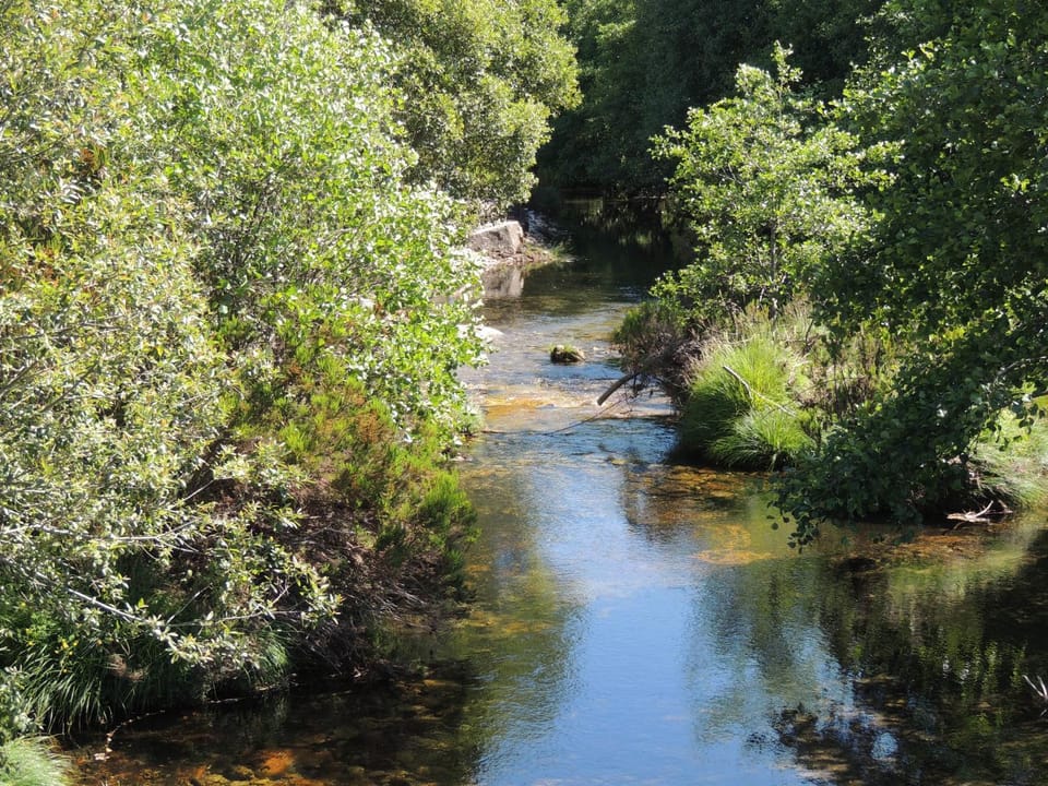 River view