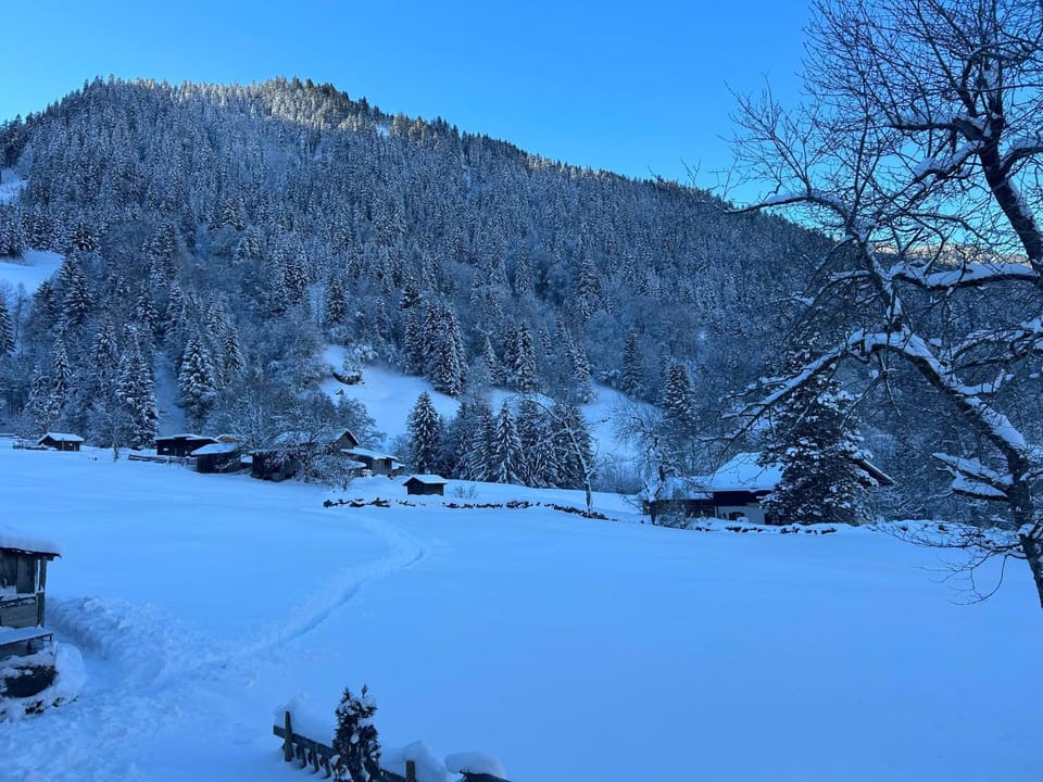 Natural landscape, Winter