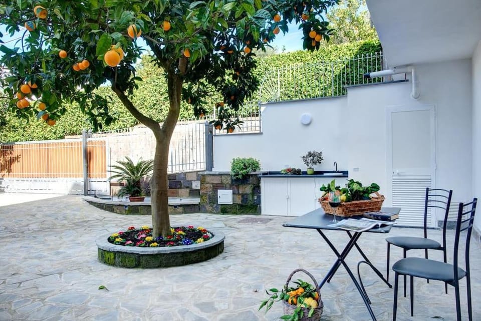 Patio, Day, Garden, Dining area, Garden view
